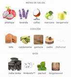 Decant 9 PM Night Out Extrait 3ml, 5ml, 10ml – Afnan Unisex Decant de Perfume Afnan