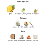 9 PM Rebel EDP 100ml – Afnan Hombre