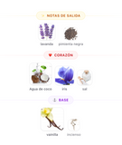 Asad Zanzibar EDP 100ml – Lattafa Hombre Perfume Lattafa