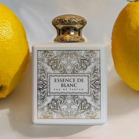 Essence de Blanc EDP 100ml – French Avenue Unisex