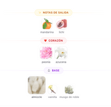 Decant Fleur de Rêve EDP 3ml, 5ml, 10ml – Ajmal Unisex Decant de Perfume Ajmal