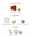 Rave Now Women EDP 100ml – RAVE Mujer Perfume RAVE