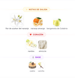 Only You EDP 100ml – Zimaya Mujer Perfume Zimaya