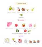Decant Pistachio Bliss EDP 3ml, 5ml, 10ml – Camara Perfumes Unisex Perfume Camara Perfumes