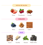 Sceptre Desert EDP 100ml – Maison Alhambra Unisex Perfume Maison Alhambra