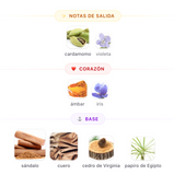 Stallion 53 EDP 100ml – Emper Unisex Perfume Emper