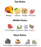 Vulcan Feu Extrait de Parfum 100ml – French Avenue Unisex Perfume French Avenue