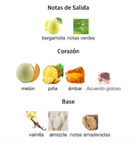 Decant Amber Oud Gold Edition EDP 120ml – Al Haramain Unisex Decant de Perfume Al Haramain