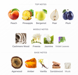 Éter Perfume Oasis EDP – Armaf UNISEX Perfume Armaf