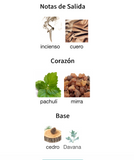 Bottled Absolu Parfum Intense 100ml – Boss Hombre