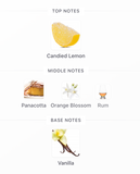 Devotion EDP 100ml – Dolce & Gabbana Mujer Perfume Dolce & Gabbana