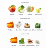 Nitro Red Intensely 100ml – Dumont Hombre