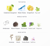 Mini Versace Pour Homme Dylan Blue EDT 5ml – Versace Hombre Perfume Versace