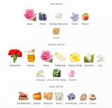 Red Door EDT 100ml – Elizabeth Arden Mujer