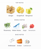 Jean Lowe Immortel EDP 100ml – Maison Alhambra Hombre