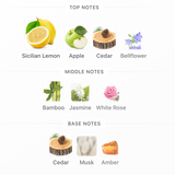 Light Blue EDT 100ml – Dolce & Gabbana Mujer