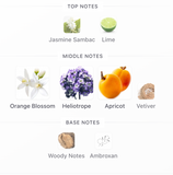 Magnificent Satin EDP 100ml – Armaf Mujer