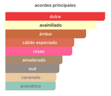 Momento EDP 100ml – Riiffs Unisex