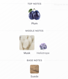 Musc Noir For Her EDP – Narciso Rodriguez Mujer Perfume Narciso Rodriguez