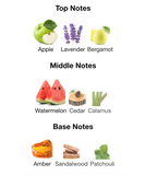 Nitro Red EDP 100ml – Dumont Hombre Perfume Dumont