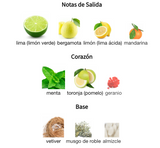 No8 Tonic Vert EDP 100ml – Thomas Kosmala Unisex Perfume Thomas Kosmala