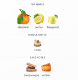 Decant Pisa EDP 3ml, 5ml, 10ml – Lattafa Hombre Decant de Perfume Lattafa