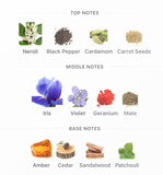 Prada L'Homme EDT 100ml – Prada Hombre