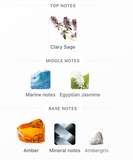 Hawas Fire EDP 100ml – Rasasi Hombre