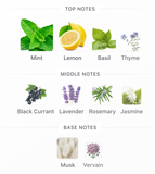 Decant Torino21 EDP 3ml, 5ml, 10ml – Xerjoff Unisex Decant de Perfume Xerjoff