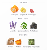 Decant We Are Tribe EDT 3ml, 5ml, 10ml – Benetton Hombre Decant de Perfume Benetton