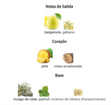 Decant Wild Stride EDP Thomas Kosmala Unisex Decant de Perfume Thomas Kosmala